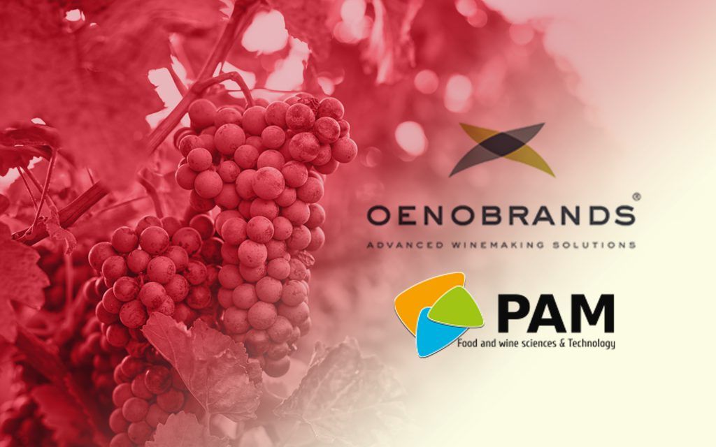 Success story oenobrands